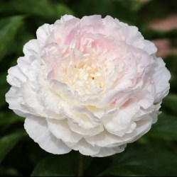 Lottie Dawson Rea IMG_9243